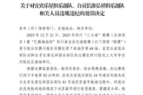 金年会共享联赛-关于赛季新规出台，裁判判罚尺度争议不断的信息