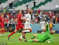 芬兰队在激烈对决中胜出，晋级半决赛(芬兰队战绩)