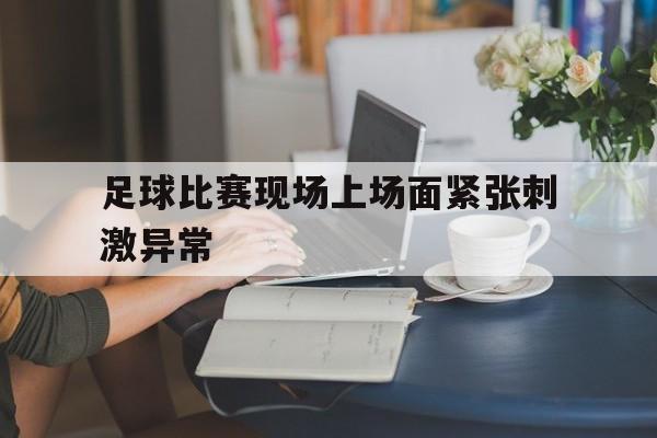 足球比赛正在紧张地进行,在场的观众