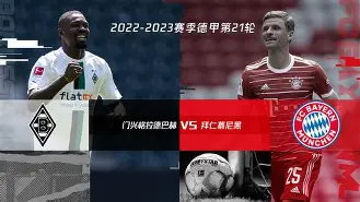 关于拜仁慕尼黑遭遇两连败，教练面临压力的信息